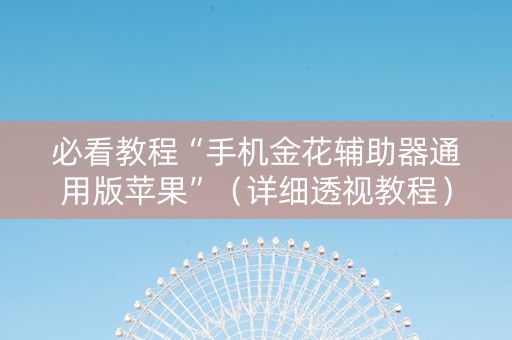 必看教程“手机金花辅助器通用版苹果”（详细透视教程）-哔哩哔哩