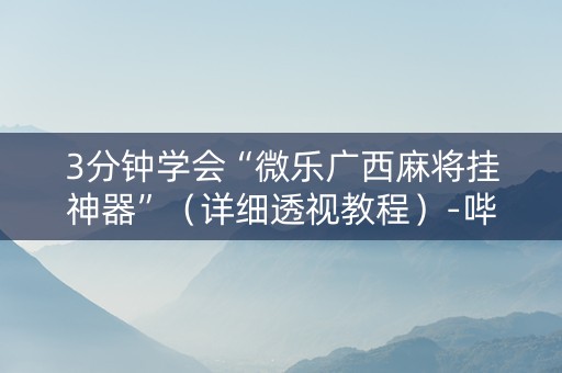 3分钟学会“微乐广西麻将挂神器”（详细透视教程）-哔哩哔哩