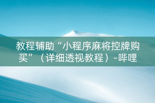 教程辅助“小程序麻将控牌购买”（详细透视教程）-哔哩哔哩