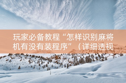 玩家必备教程“怎样识别麻将机有没有装程序”（详细透视教程）-哔哩哔哩