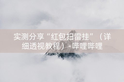 实测分享“红包扫雷挂”（详细透视教程）-哔哩哔哩