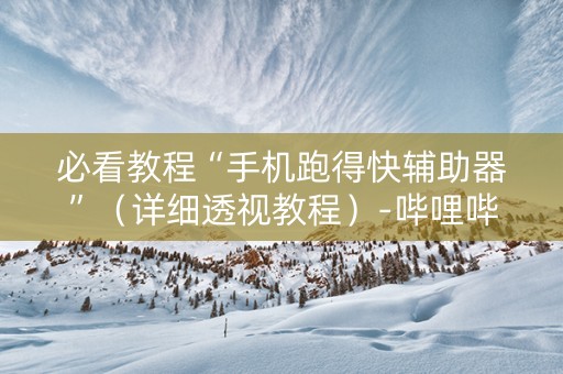 必看教程“手机跑得快辅助器”（详细透视教程）-哔哩哔哩