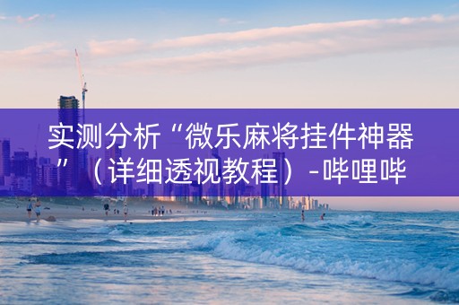 实测分析“微乐麻将挂件神器”（详细透视教程）-哔哩哔哩