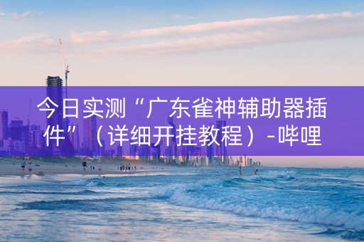 今日实测“广东雀神辅助器插件”（详细开挂教程）-哔哩哔哩