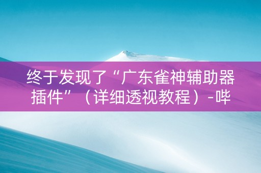 终于发现了“广东雀神辅助器插件”（详细透视教程）-哔哩哔哩