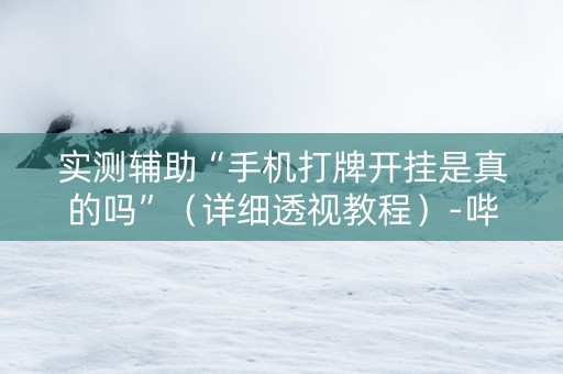 实测辅助“手机打牌开挂是真的吗”（详细透视教程）-哔哩哔哩