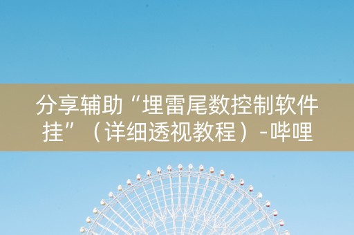 分享辅助“埋雷尾数控制软件挂”（详细透视教程）-哔哩哔哩