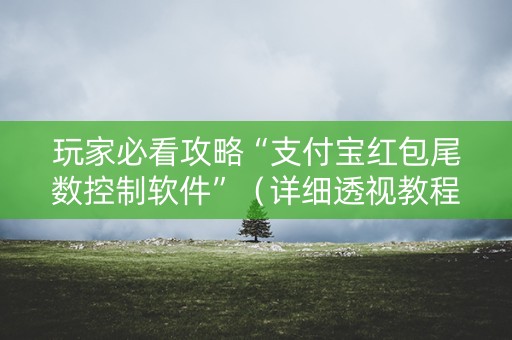 玩家必看攻略“支付宝红包尾数控制软件”（详细透视教程）-哔哩哔哩