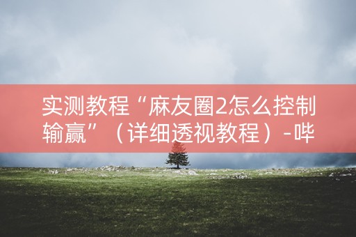 实测教程“麻友圈2怎么控制输赢”（详细透视教程）-哔哩哔哩
