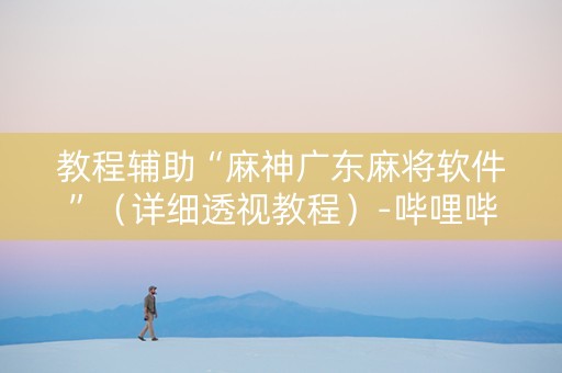 教程辅助“麻神广东麻将软件”（详细透视教程）-哔哩哔哩