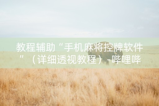 教程辅助“手机麻将控牌软件”（详细透视教程）-哔哩哔哩