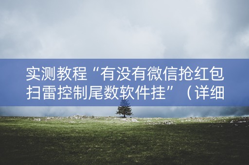 实测教程“有没有微信抢红包扫雷控制尾数软件挂”（详细透视教程）-哔哩哔哩