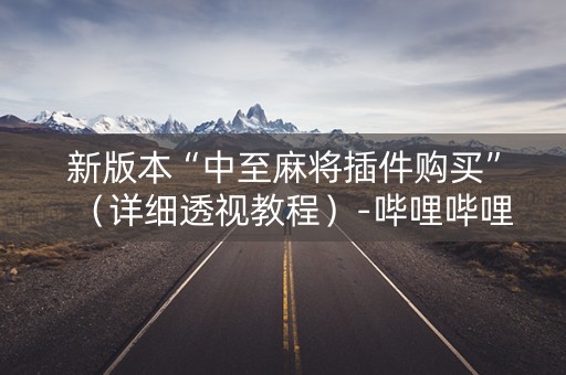 新版本“中至麻将插件购买”（详细透视教程）-哔哩哔哩