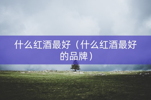 什么红酒最好（什么红酒最好的品牌）