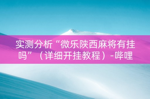 实测分析“微乐陕西麻将有挂吗”（详细开挂教程）-哔哩哔哩