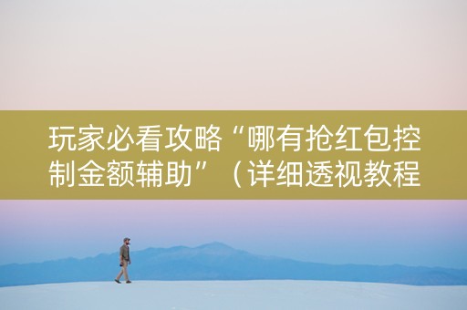玩家必看攻略“哪有抢红包控制金额辅助”（详细透视教程）-哔哩哔哩
