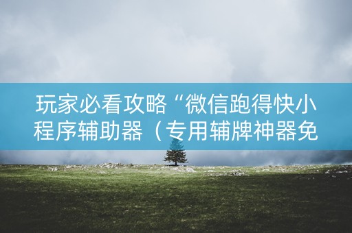 玩家必看攻略“微信跑得快小程序辅助器（专用辅牌神器免安装）