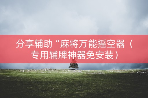 分享辅助“麻将万能摇空器（专用辅牌神器免安装）
