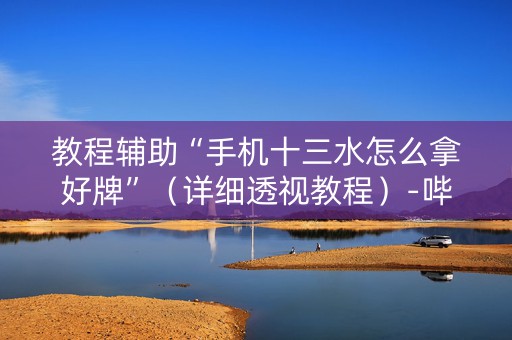 教程辅助“手机十三水怎么拿好牌”（详细透视教程）-哔哩哔哩