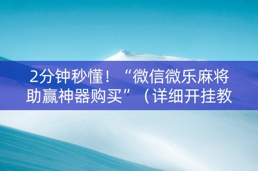 2分钟秒懂！“微信微乐麻将助赢神器购买”（详细开挂教程）-哔哩哔哩