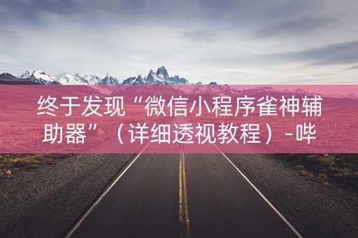终于发现“微信小程序雀神辅助器”（详细透视教程）-哔哩哔哩