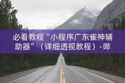 必看教程“小程序广东雀神辅助器”（详细透视教程）-哔哩哔哩