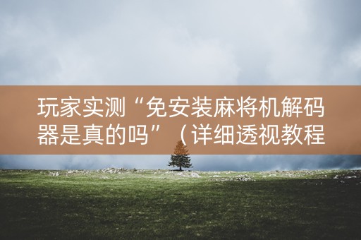 玩家实测“免安装麻将机解码器是真的吗”（详细透视教程）-哔哩哔哩