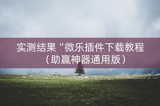 实测结果“微乐插件下载教程（助赢神器通用版）