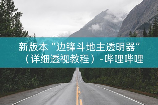 新版本“边锋斗地主透明器”（详细透视教程）-哔哩哔哩