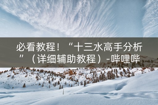 必看教程！“十三水高手分析”（详细辅助教程）-哔哩哔哩