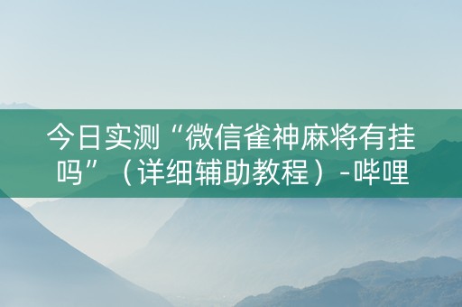 今日实测“微信雀神麻将有挂吗”（详细辅助教程）-哔哩哔哩