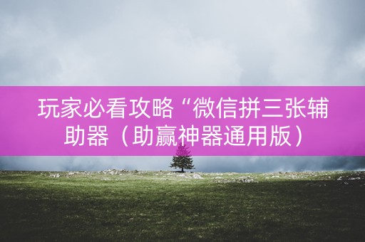 玩家必看攻略“微信拼三张辅助器（助赢神器通用版）
