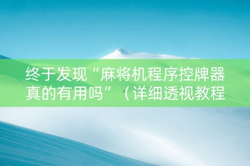 终于发现“麻将机程序控牌器真的有用吗”（详细透视教程）-哔哩哔哩