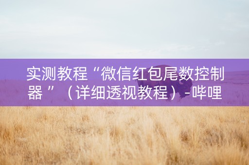 实测教程“微信红包尾数控制器 ”（详细透视教程）-哔哩哔哩