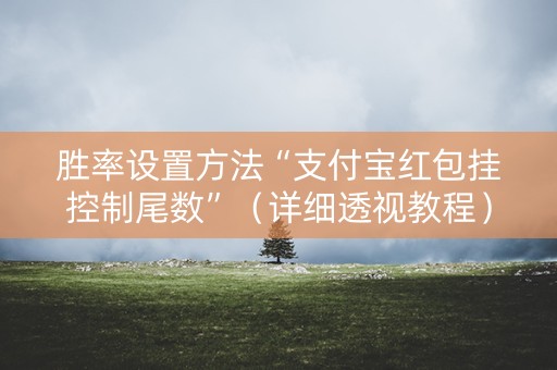 胜率设置方法“支付宝红包挂控制尾数”（详细透视教程）-哔哩哔哩