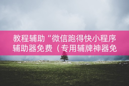 教程辅助“微信跑得快小程序辅助器免费（专用辅牌神器免安装）