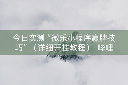 今日实测“微乐小程序赢牌技巧”（详细开挂教程）-哔哩哔哩