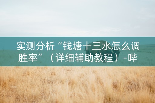 实测分析“钱塘十三水怎么调胜率”（详细辅助教程）-哔哩哔哩