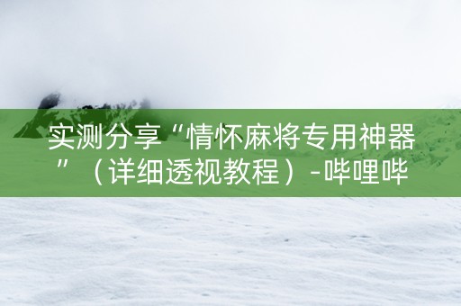 实测分享“情怀麻将专用神器”（详细透视教程）-哔哩哔哩