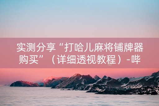 实测分享“打哈儿麻将铺牌器购买”（详细透视教程）-哔哩哔哩