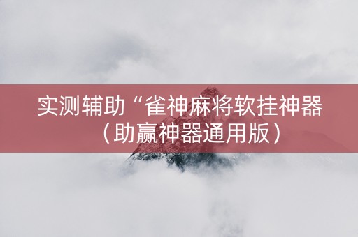 实测辅助“雀神麻将软挂神器（助赢神器通用版）