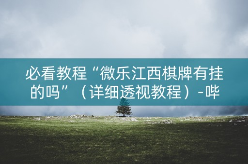 必看教程“微乐江西棋牌有挂的吗”（详细透视教程）-哔哩哔哩
