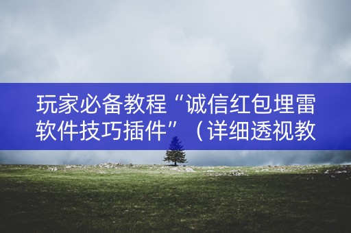 玩家必备教程“诚信红包埋雷软件技巧插件”（详细透视教程）-哔哩哔哩