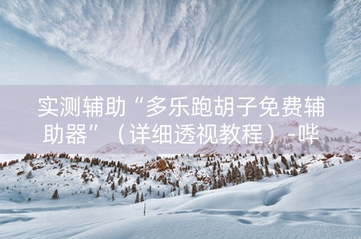 实测辅助“多乐跑胡子免费辅助器”（详细透视教程）-哔哩哔哩