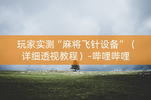 玩家实测“麻将飞针设备”（详细透视教程）-哔哩哔哩