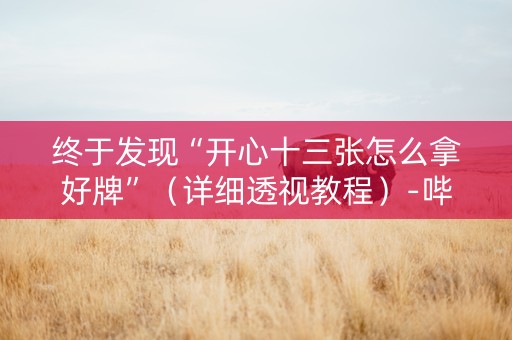 终于发现“开心十三张怎么拿好牌”（详细透视教程）-哔哩哔哩