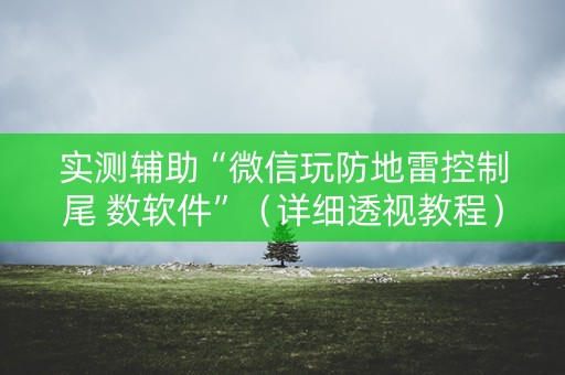 实测辅助“微信玩防地雷控制尾 数软件”（详细透视教程）-哔哩哔哩