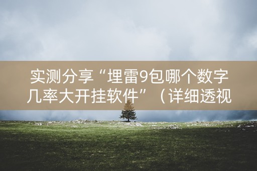 实测分享“埋雷9包哪个数字几率大开挂软件”（详细透视教程）-哔哩哔哩