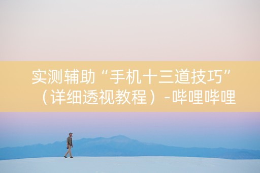 实测辅助“手机十三道技巧”（详细透视教程）-哔哩哔哩