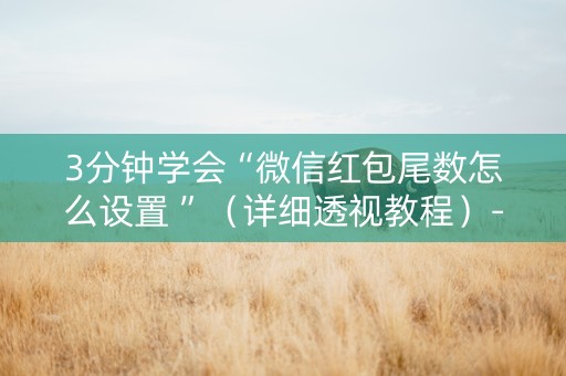 3分钟学会“微信红包尾数怎么设置 ”（详细透视教程）-哔哩哔哩